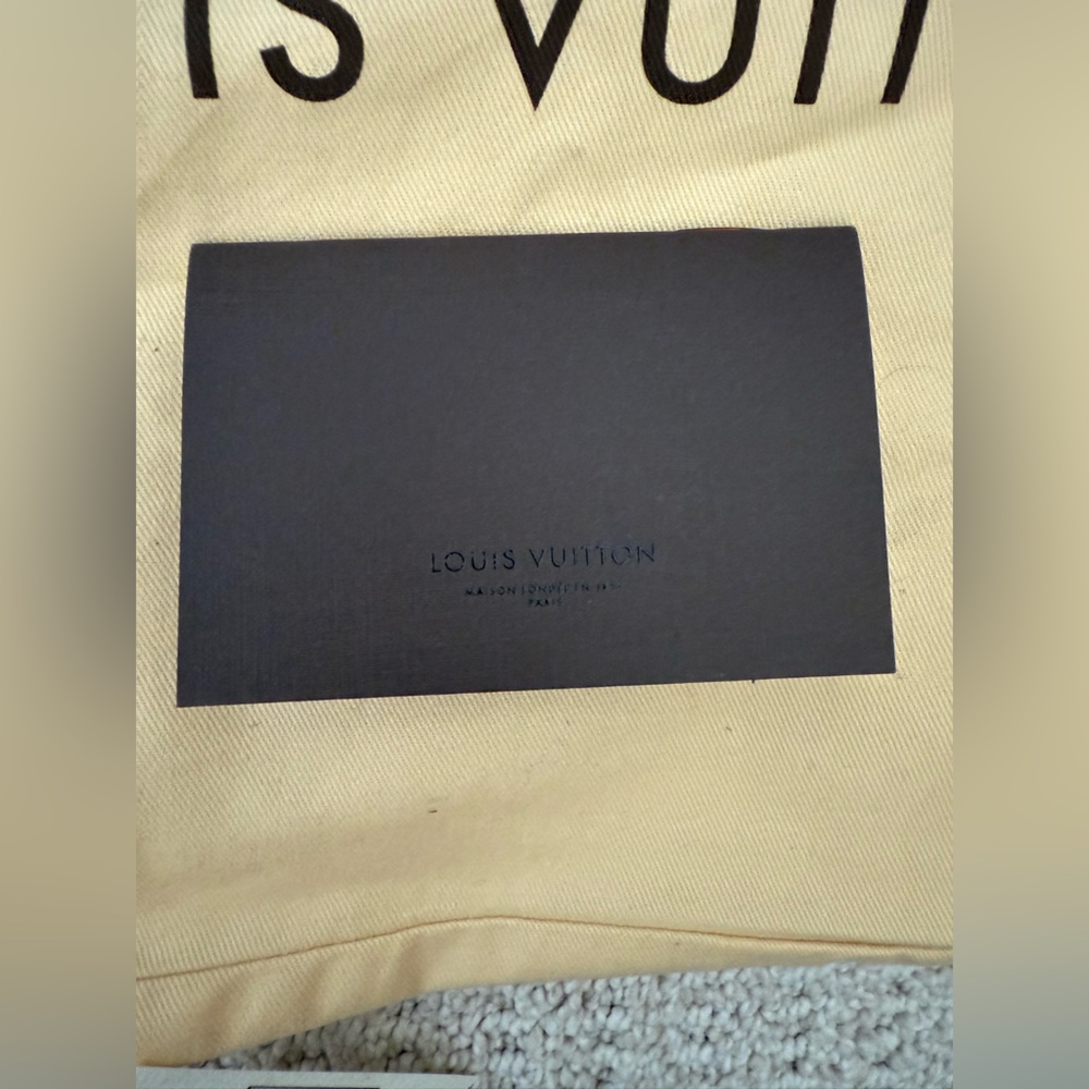 Louis Vuitton Artsy Hobo Shoulder Bag - Picture 11 of 12